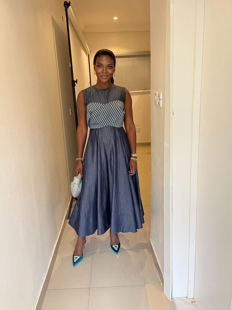 Victoria Flare Dress - Denim